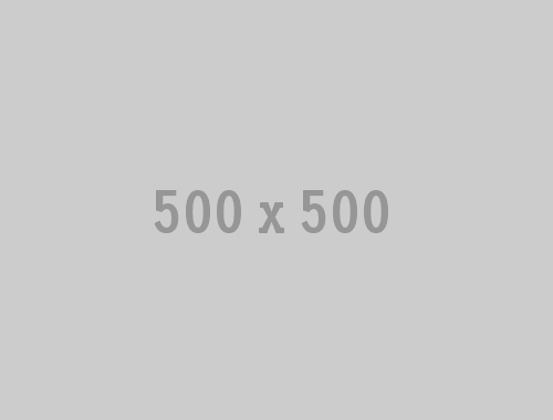 500x500