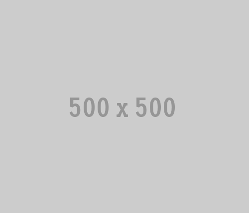 500x500
